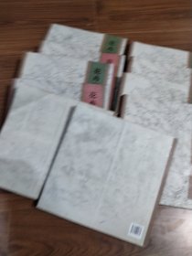 花卉写生构图 上下
