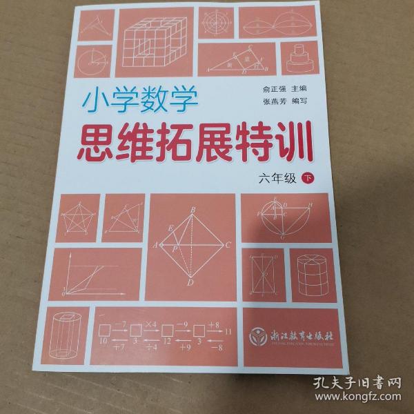 小学数学思维拓展特训 六年级下