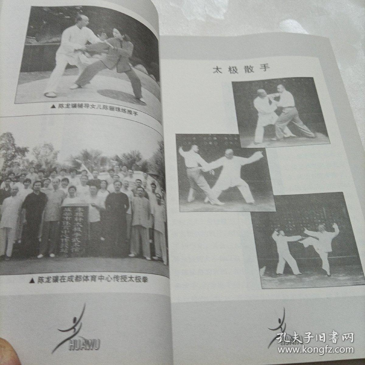 李雅轩太极推手精粹