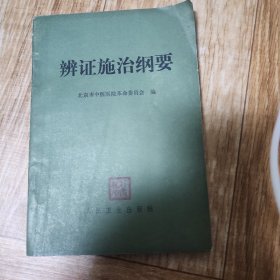 辨证施治纲要。朝鲜文