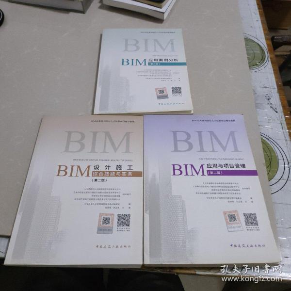 BIM设计施工综合技能与实务（第二版）