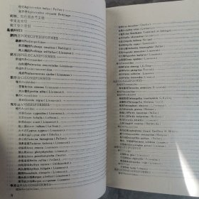 青海经济动物志（全一册）〈1989年青海初版发行〉