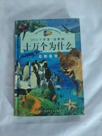 NEO小学生十万个为什么.动物植物.注音版