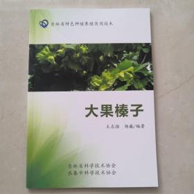 大果榛子（吉林省特色种植养殖实用技术）