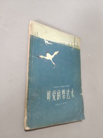 可愛(ài)的柴達(dá)木