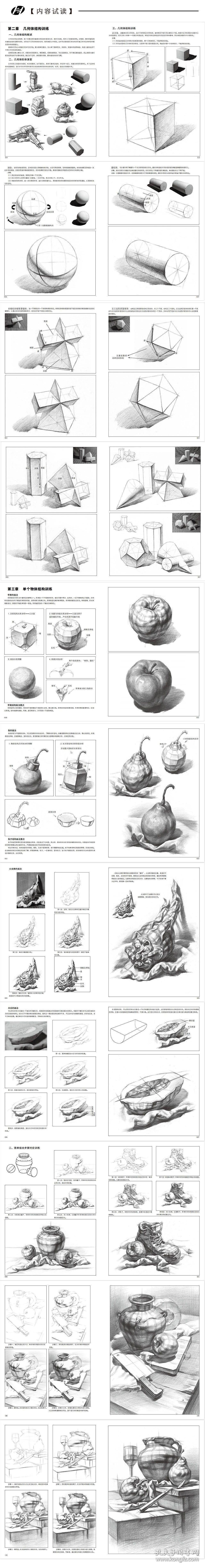 结构素描基础教程一本通 普通图书/艺术 编者:成辉|责编:陈铭杰 杭州 9787556504046