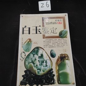 白玉投资完全手册