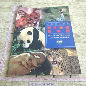 中国科大附中 野生动物标本馆