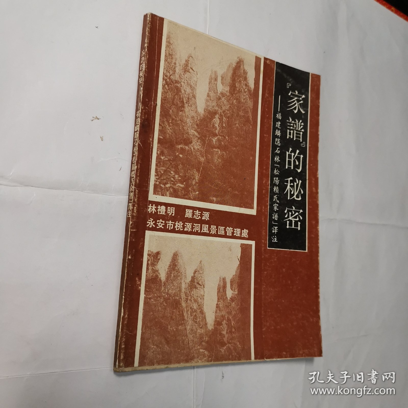 家谱的秘密——福建鳞隐石林《松阳赖氏家谱》译注