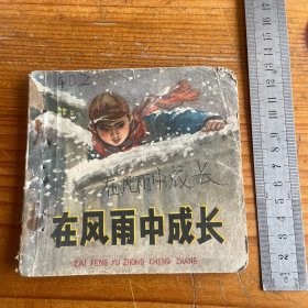 在风雨中成长 连环画