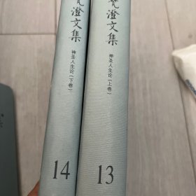 徐梵澄文集：13、14神圣人生论上下卷