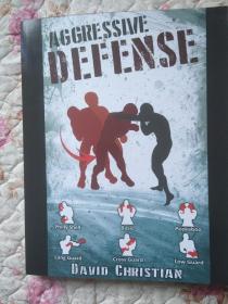 攻击性防守Aggressive Defense: Blocks, Head Movement & Counters for Boxing, Kickboxing & MMA  （接受预订，现货己售）