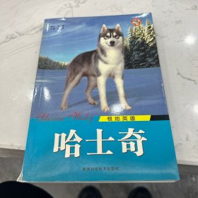 世界名犬系列·天使的微笑：萨摩耶犬