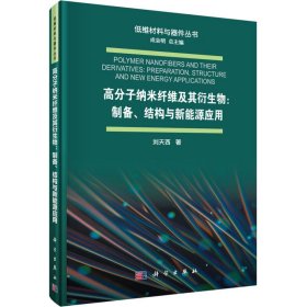 高分子纳米纤维及其衍生物:制备、结构与新能源应用