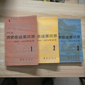 历史在这里沉思 共三卷