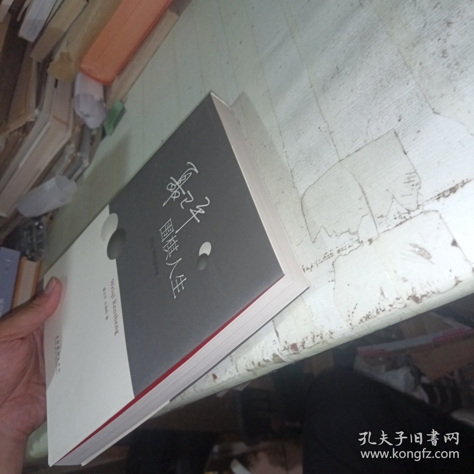 聂卫平：围棋人生