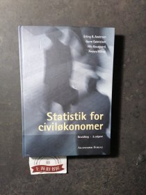 Statistik for civilфkonomer（精选）