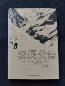 农民父亲