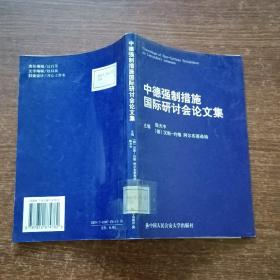 中德强制措施国际研讨会论文集