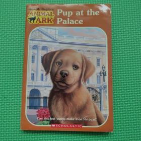 Pup at the Palace (Animal Ark Series #30) 宫殿里的小狗（动物方舟系列#30）平装/9780439343916