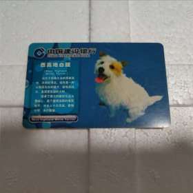 中国建设银行   2006年  日历卡   名犬