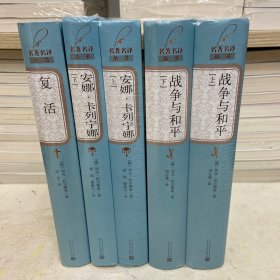 名著名译丛书 托尔斯泰三大长篇：战争与和平（上下）（精装版）/安娜·卡列宁哪（上下）/复活 共3种5册