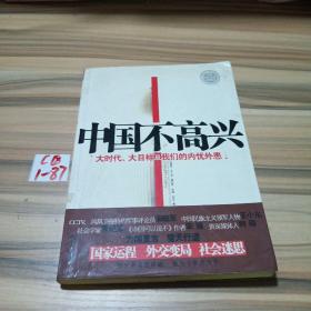 中国不高兴：大时代大目标及我们的内忧外患