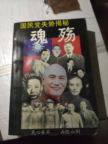 魂砀—国民党失势揭秘