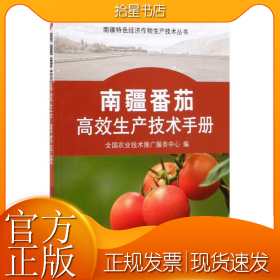 南疆番茄高效生产技术手册/南疆特色经济作物生产技术丛书