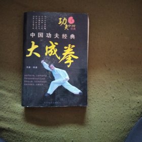 真正大成拳