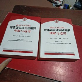 最高人民法院民事诉讼法司法解释理解与适用