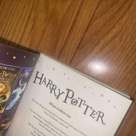 Harry Potter and the Philosopher's Stone：1/7哈利波特与魔法石基本全新