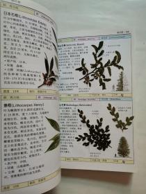 全世界500多种树木的彩色图鉴：树、有害植物（2册合售）