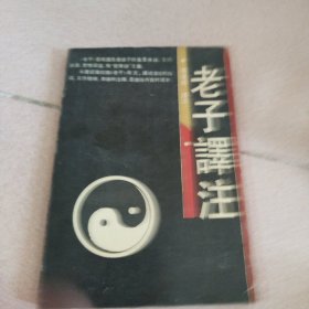 老子漢注