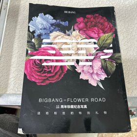 BIGBNG-FLOWER ROAD 11周年珍藏纪念写真