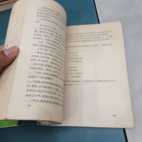 海岛女民兵