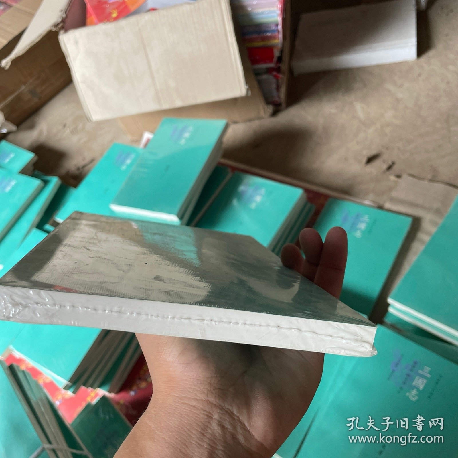 三国志：10 吴书一 繁体横排版 （今注本二十四史丛书）