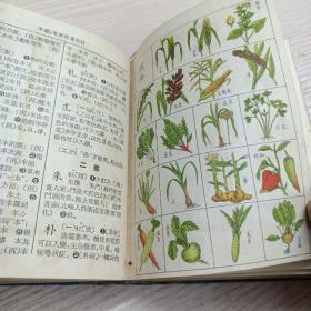 部首排列《中文字典》乔砚农，尹寿彭合编著，香港华侨语文出版社。1957年1版1印。软精装