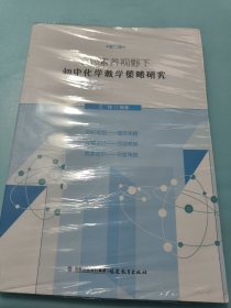 核心素养视野下初中化学教学策略研究（梦山书系）