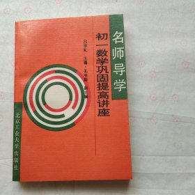 名师导学初一数学巩固提高讲座