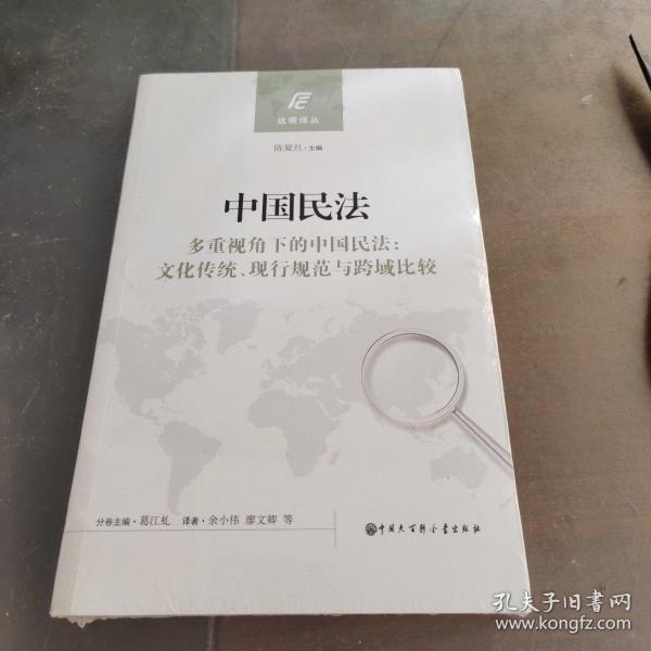 中国民法（多重视角下的中国民法：文化传统、现行规范与跨域比较）