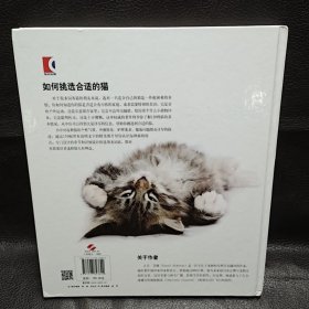 J55慧眼选猫