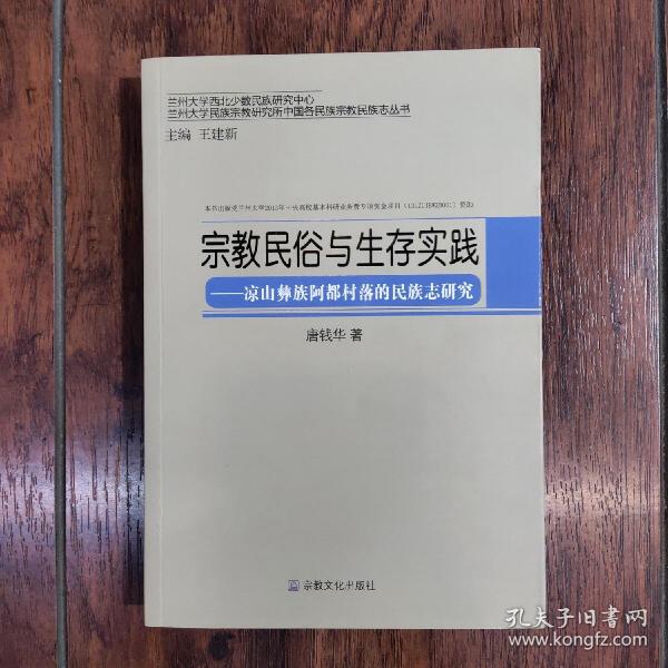 兰州大学民族宗教研究所中国民族家教民族志丛书·宗教民俗与生存实践：凉山彝族阿都村落的民族志研究