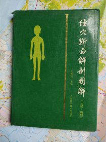 经穴断面解剖图解.头颈、胸部（精装）