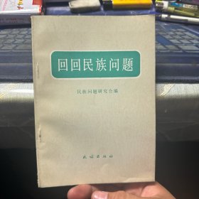 回回民族问题