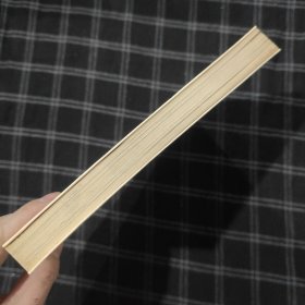 沉默的森林 小虎队儿童文学丛书