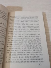 寻龙 大侠赖布衣传奇