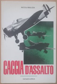 意大利文原版CACCIA D'ASSALTO二战意军对地攻击机型号与装备部队历史写真文字数据老照片地中海北非战场航空史研究资料意大利空军Regia Aeronautica俯冲轰炸机战斗机