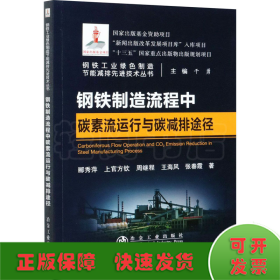 钢铁制造流程中碳素流运行与碳减排途径/钢铁工业绿色制造节能减排先进技术丛书