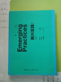 新兴实践：设计的专业、价值和途径